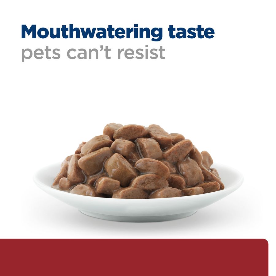 Hill's Prescription Diet i/d Cat Food with Salmon