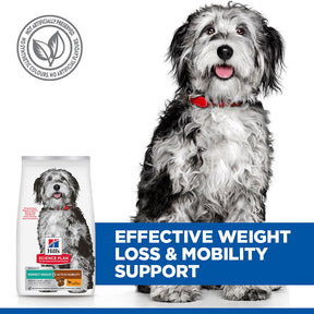 Hill's™ Science Plan Perfect Weight & Active Mobility Medium Dry Dog Food Chicken 12kg