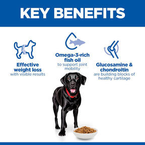 Hill's™ Science Plan Perfect Weight & Active Mobility Large Dry Dog Food Chicken 12kg