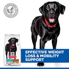 Hill's™ Science Plan Perfect Weight & Active Mobility Large Dry Dog Food Chicken 12kg