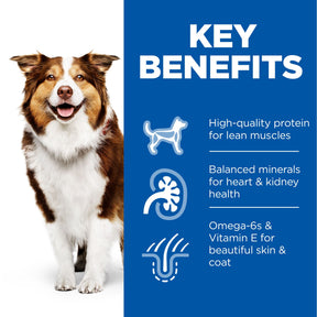 Hill's™ Science Plan Mature Adult 7+ Wet Dog Food with Chicken