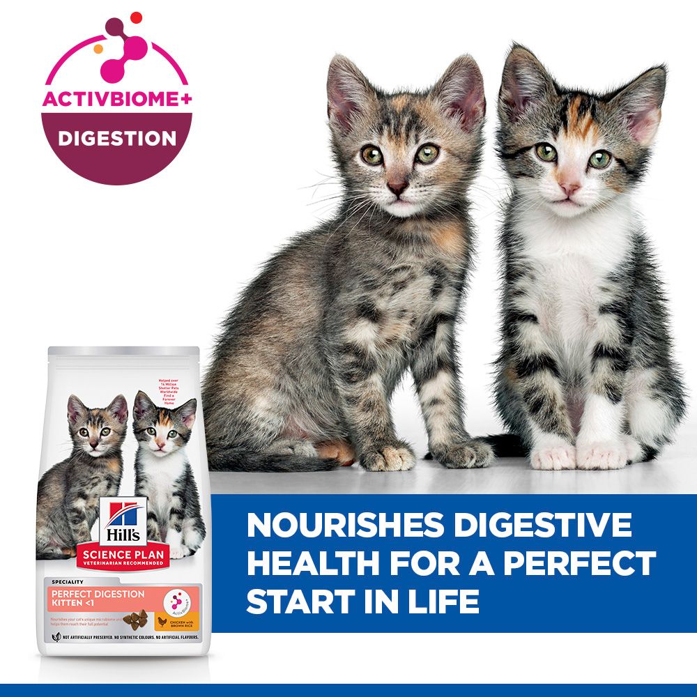 Hill's™ Science Plan Perfect Digestion Kitten Food with Chicken & Brown Rice