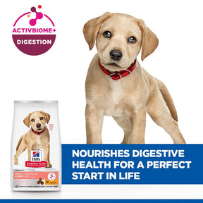 Hill's™ Science Plan Perfect Digestion Puppy Large Breed Dry Dog Food Chicken & Brown Rice 12kg