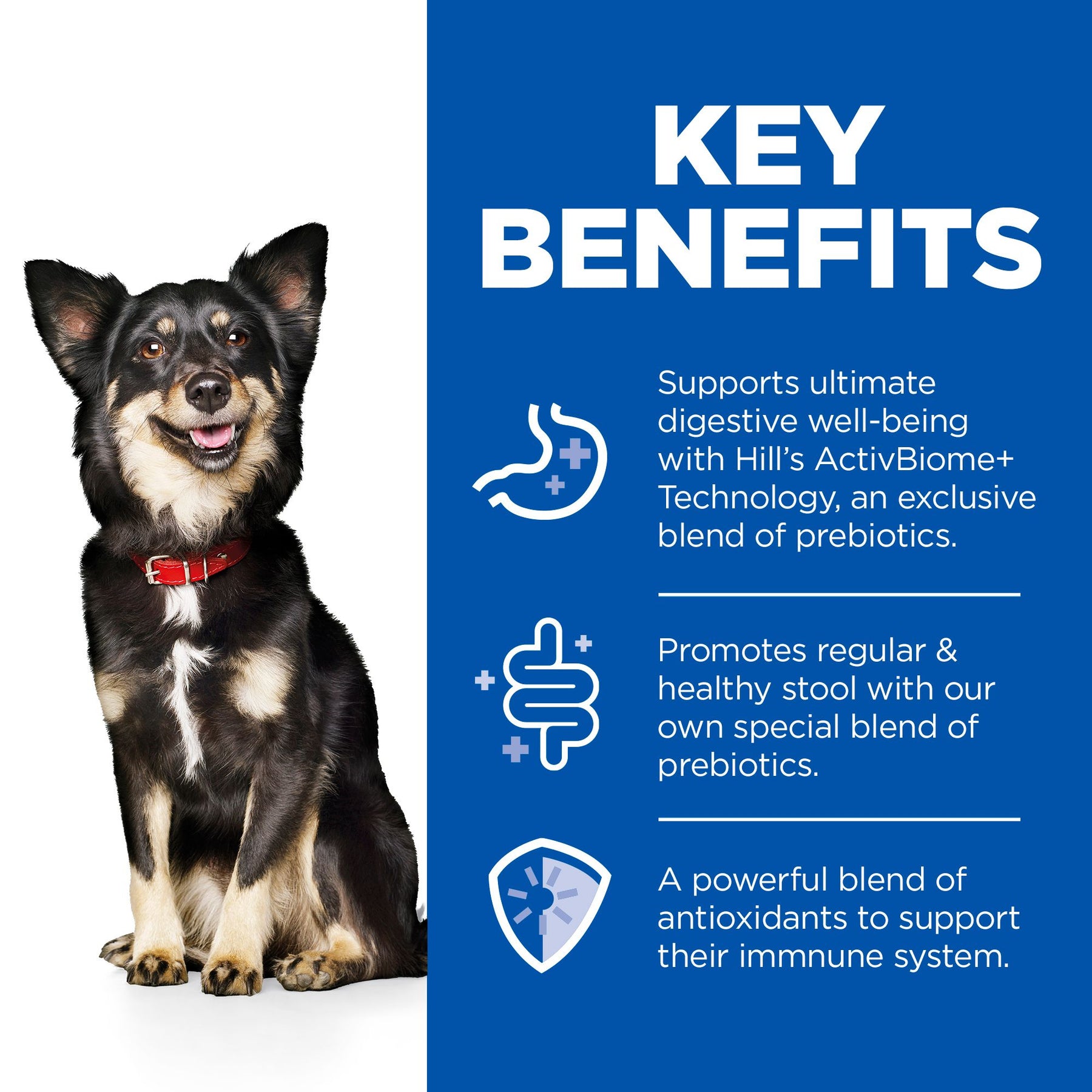 Hill's™ Science Plan Perfect Digestion Adult Small & Mini Dog Mousse with Turkey