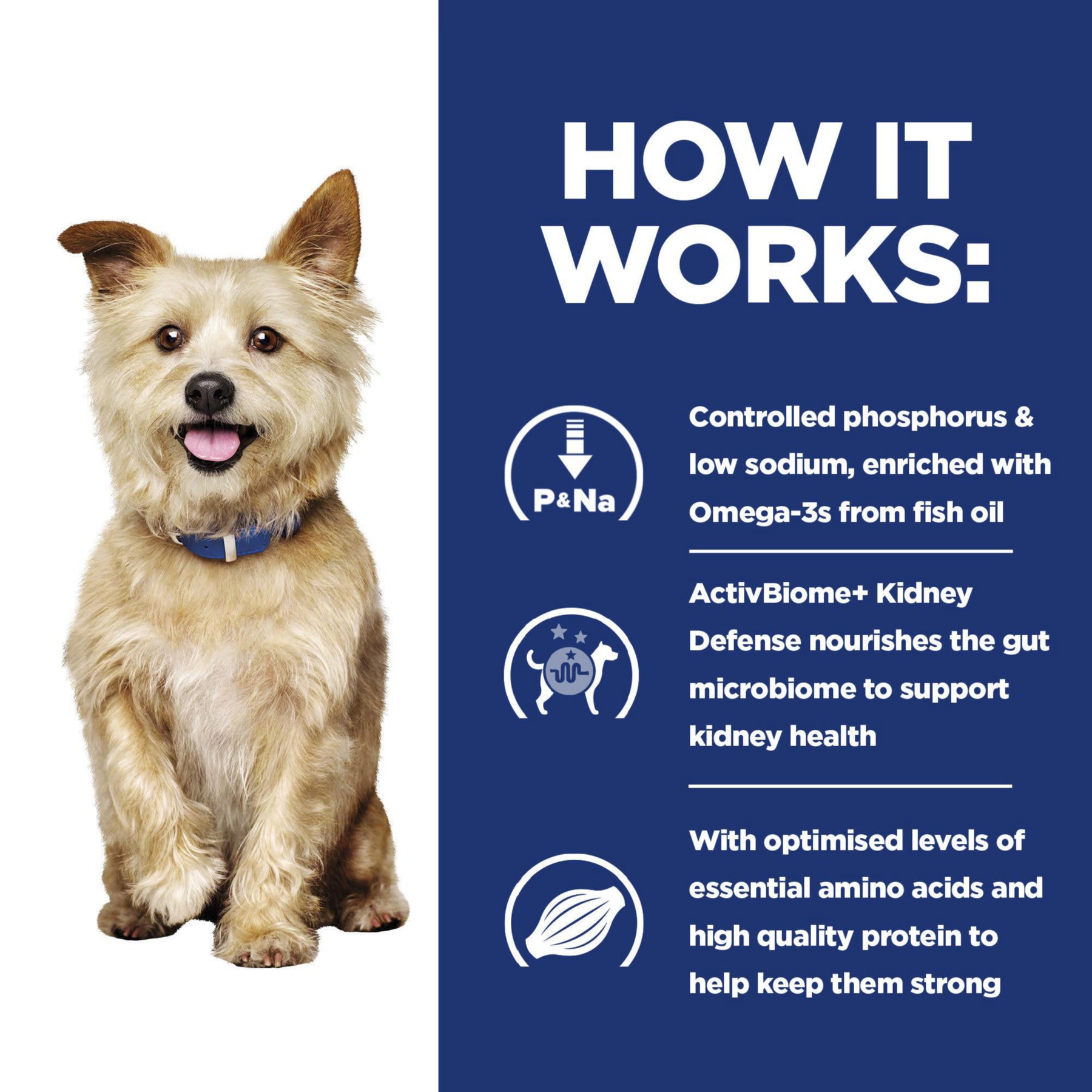 Hill's Prescription Diet k/d Kidney Care Dog Food