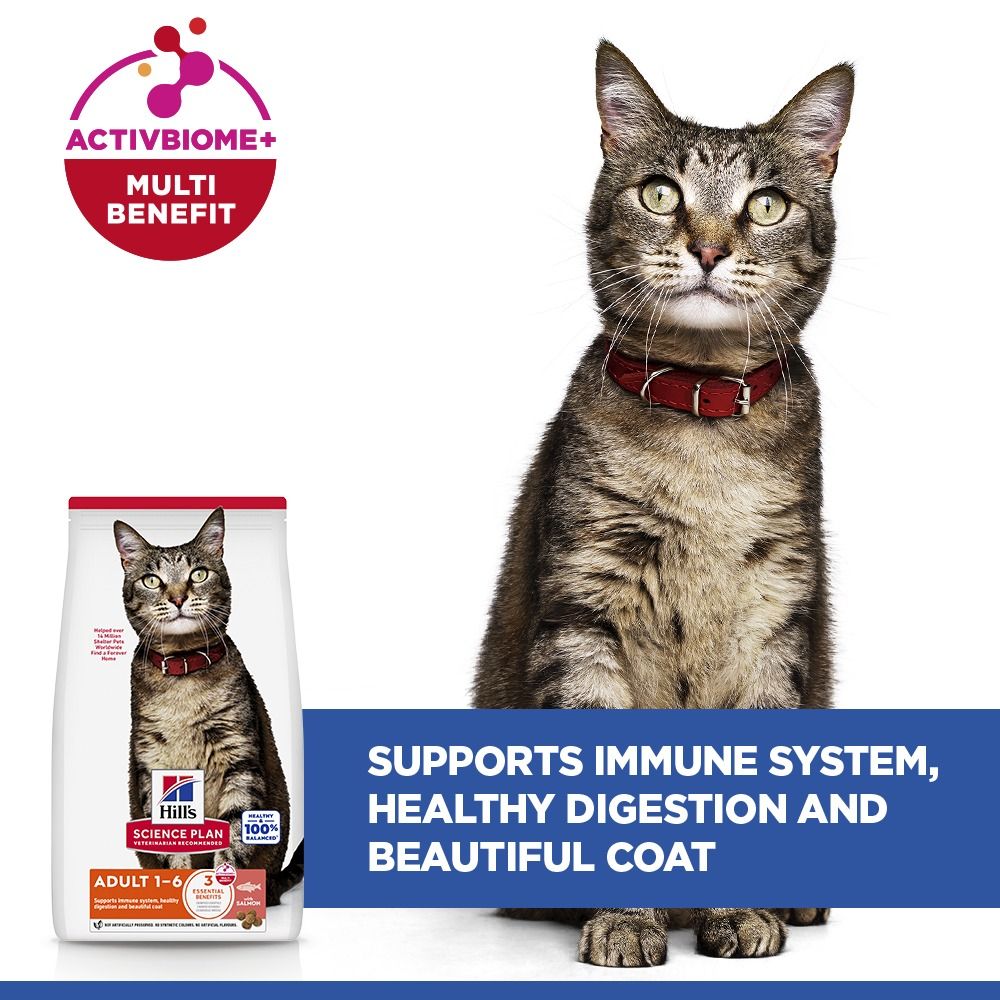 Hill's Science Plan Adult Dry Cat Food with Salmon