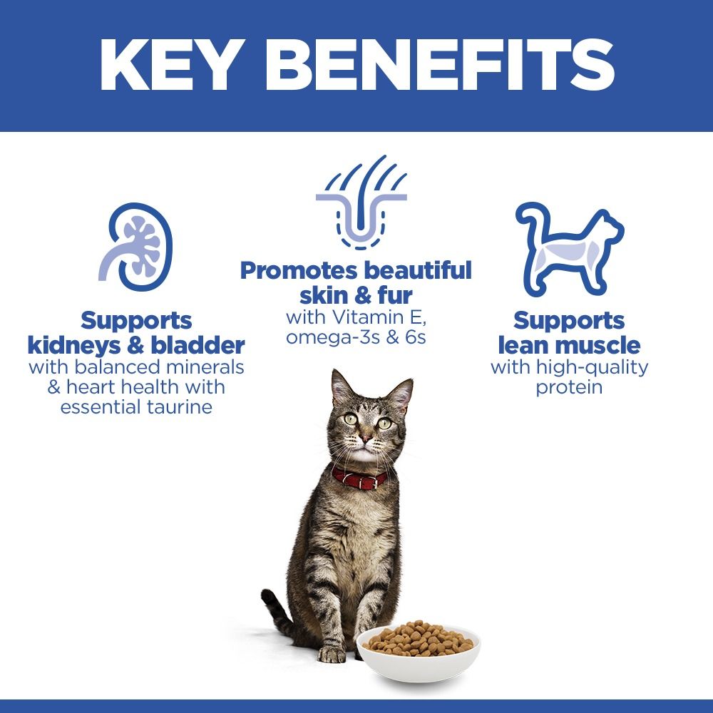 Hill's™ Science Plan Adult Dry Cat Salmon Flavour