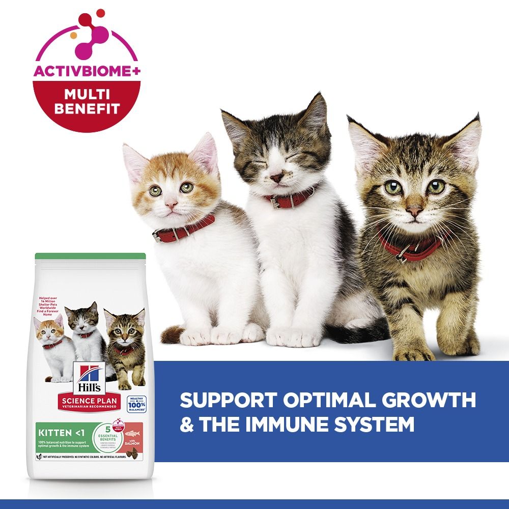 Hill's™ Science Plan Kitten Dry Food Salmon Flavour