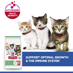Hill's™ Science Plan Kitten Dry Food Salmon Flavour