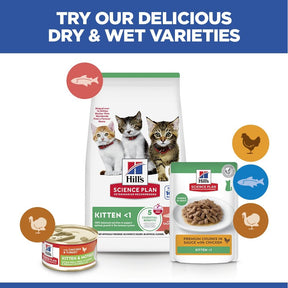 Hill's™ Science Plan Kitten Dry Food Salmon Flavour
