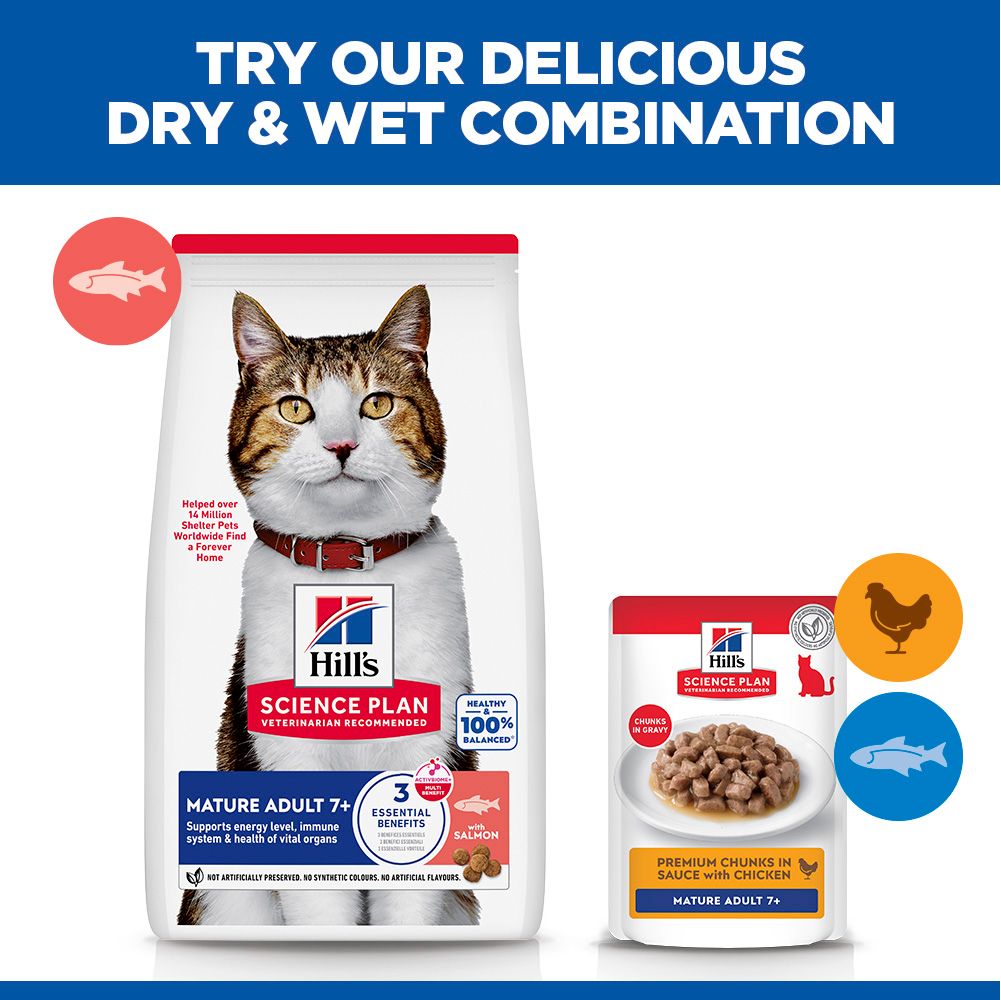 Hill's Science Plan Mature Adult Dry Cat Food with Salmon 10kg