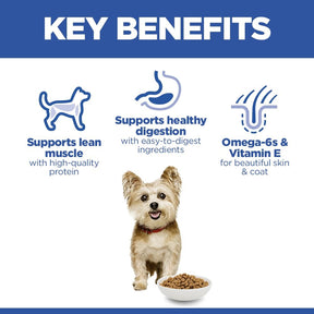 Hill's™ Science Plan Adult Small & Mini Dry Dog Food Chicken Flavour 6kg
