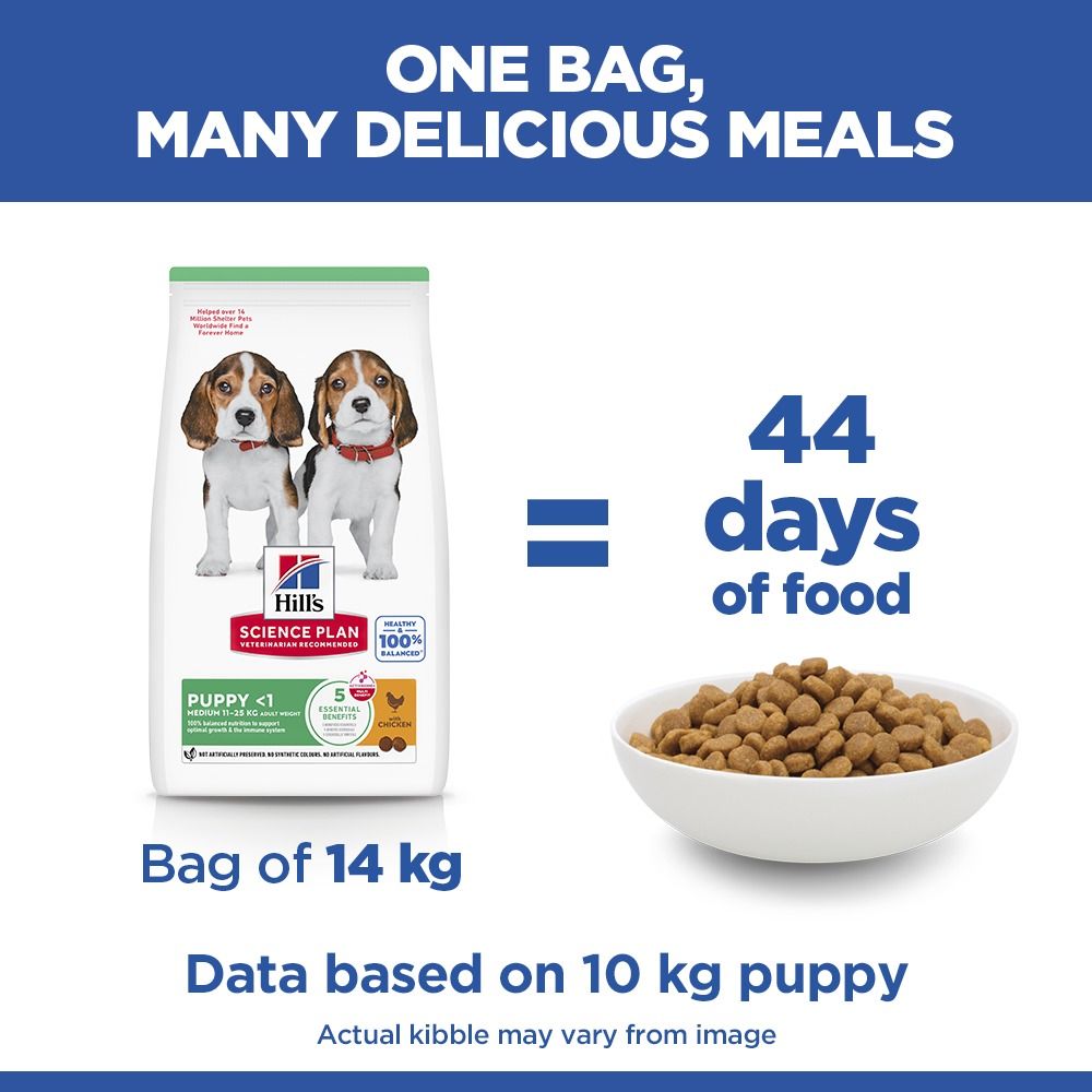 Hill's Science Plan Puppy Medium Breed Dry Dog Food with Chicken