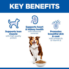 Hill's Science Plan Mature Adult Medium Breed Dry Dog Food with Chicken