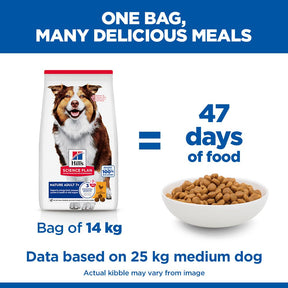 Hill's Science Plan Mature Adult Medium Breed Dry Dog Food with Chicken