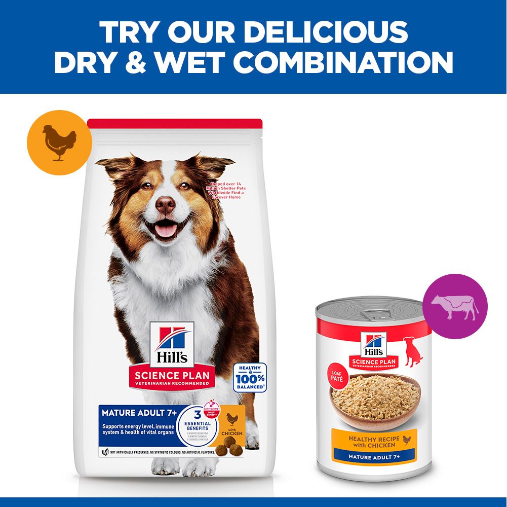 Hill's Science Plan Mature Adult Medium Breed Dry Dog Food with Chicken