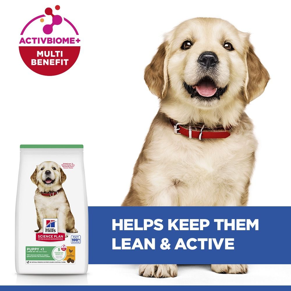 Hill's Science Plan Puppy Large Breed Dry Dog Food with Chicken
