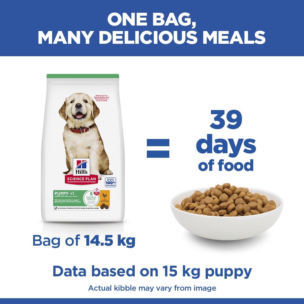 Hill's Science Plan Puppy Large Breed Dry Dog Food with Chicken