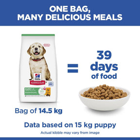Hill's Science Plan Puppy Large Breed Dry Dog Food with Chicken