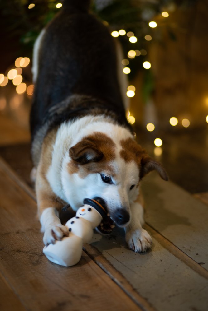 Petface Santos Snowman Latex Dog Toy