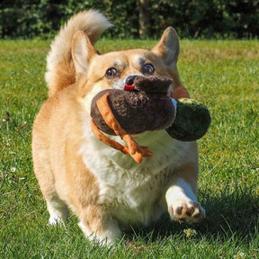 Zoon Poochie Drake Dog Toy
