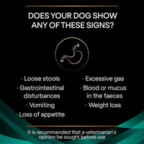 Purina EN Gastrointestinal Adult Bundle