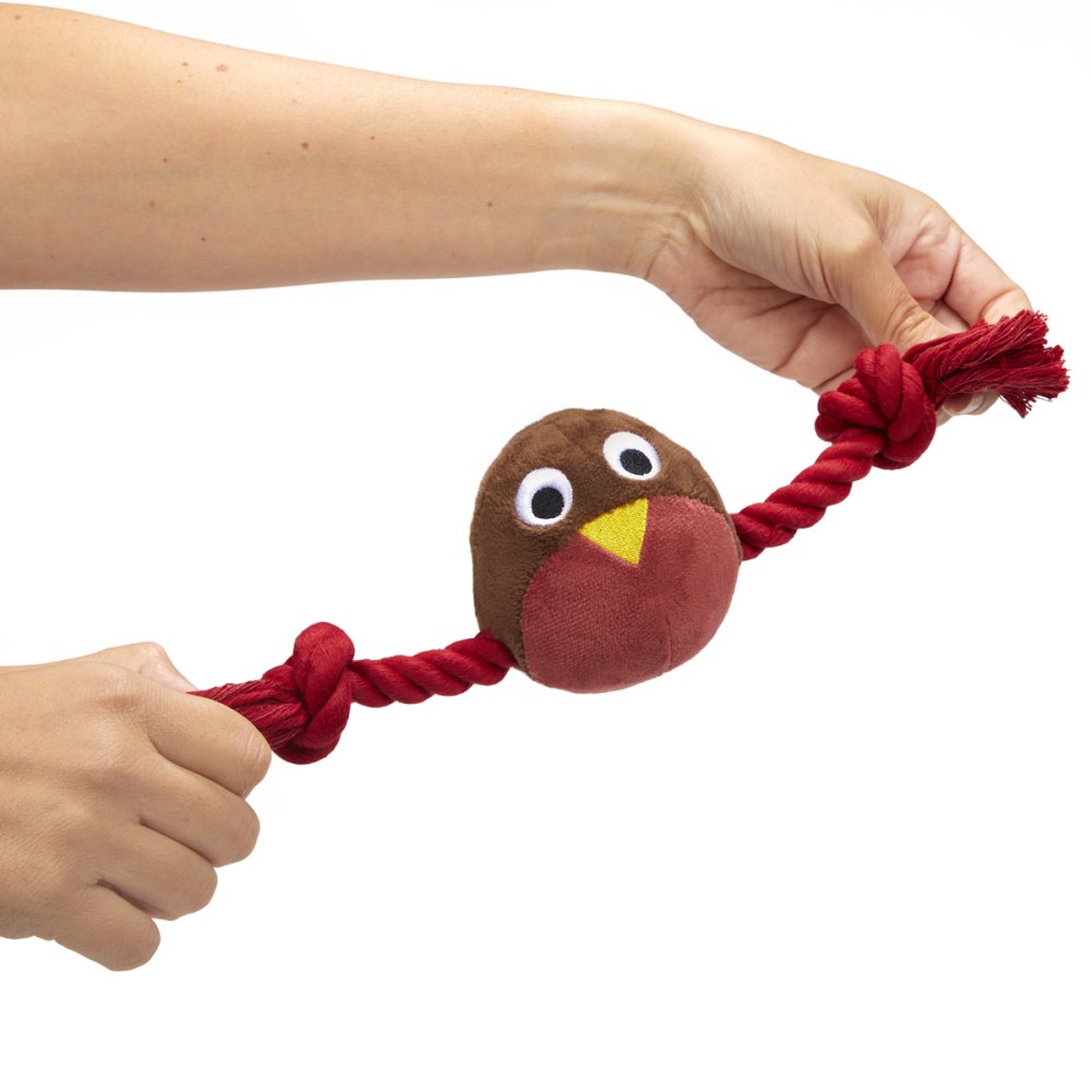 Petface Ryan Robin with Rope Plush Dog Toy