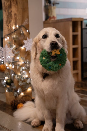 Petface Remy Wreath Plush & Rubber Dog Toy