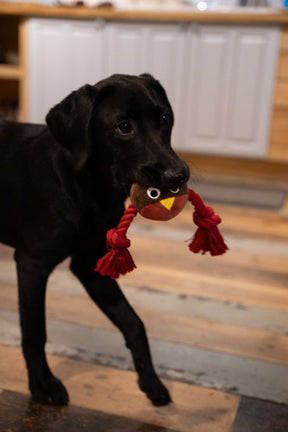 Petface Ryan Robin with Rope Plush Dog Toy