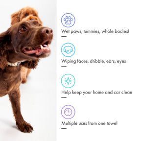 Battersea Eco Dog Towels (20pk)