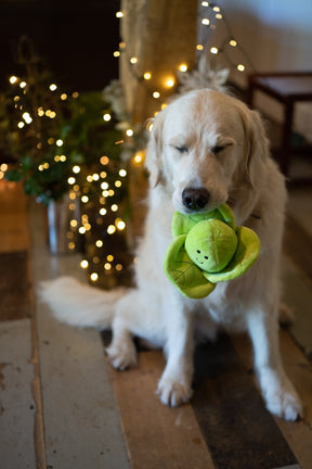 Petface Sprihaa Sprout Plush Dog Toy