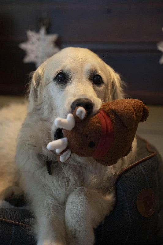 Petface Ronee Reindeer Plush Christmas Dog Toy