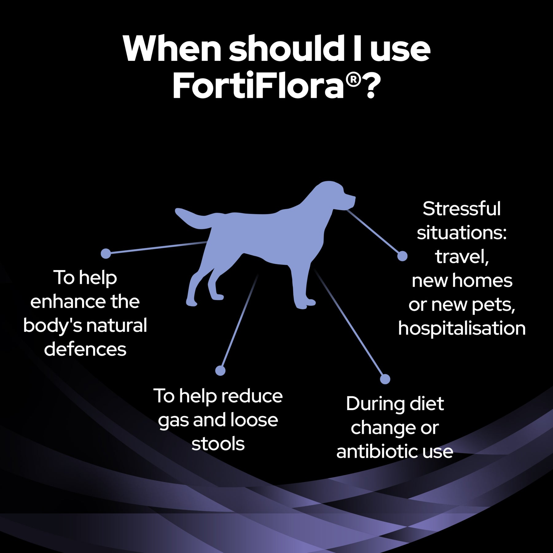 Purina EN Gastrointestinal Small Dog Bundle Plus Fortiflora