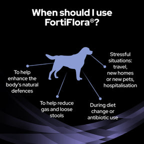 Purina EN Gastrointestinal Bundle with Fortiflora