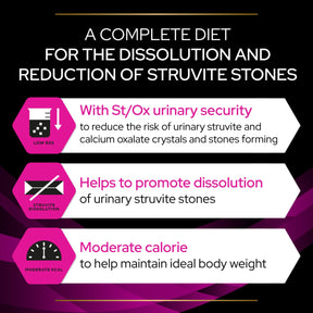 PRO PLAN VETERINARY DIETS UR Urinary Salmon Wet Cat Food 10s