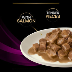 PRO PLAN VETERINARY DIETS UR Urinary Salmon Wet Cat Food 10s