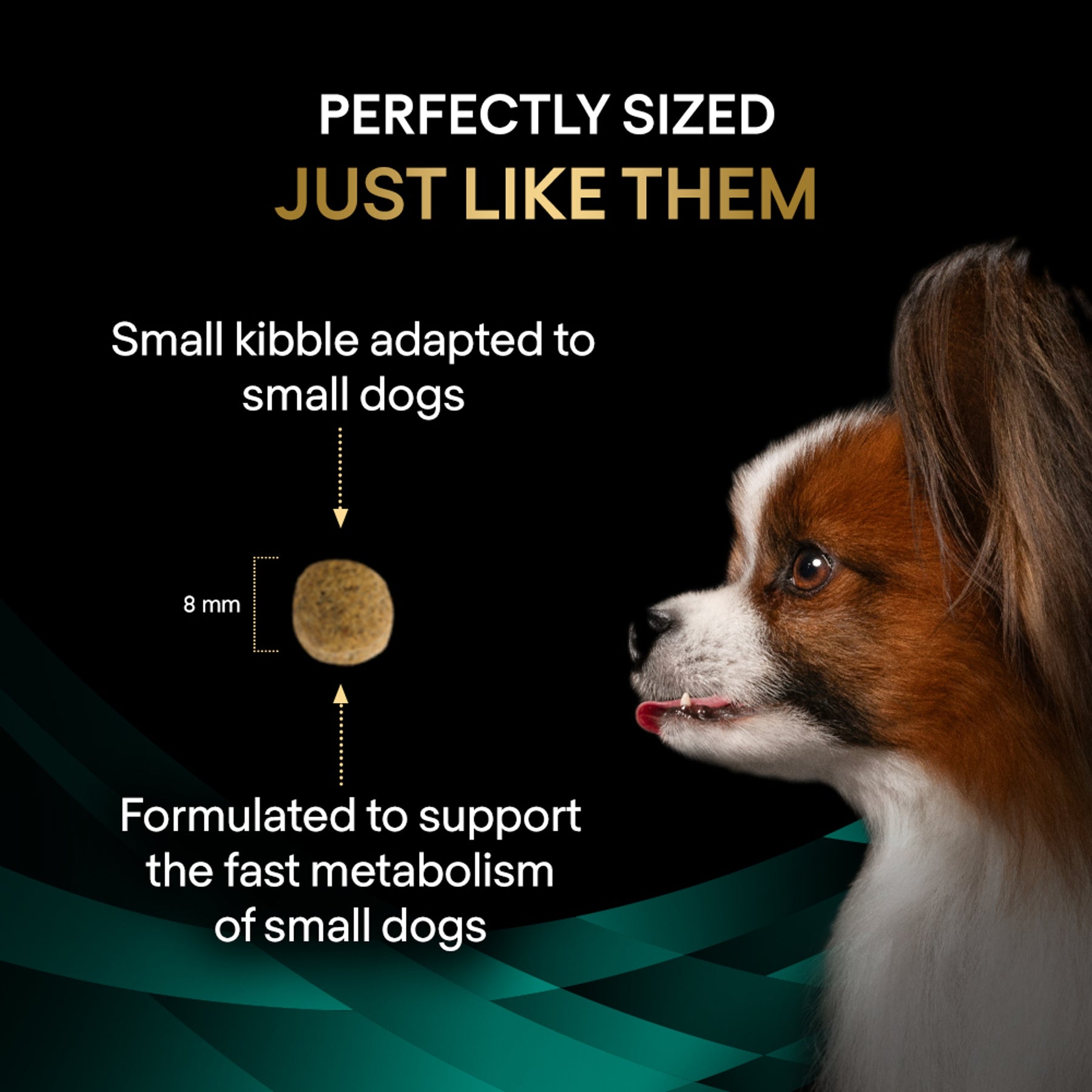 Purina EN Gastrointestinal Small Dog Bundle Plus Fortiflora