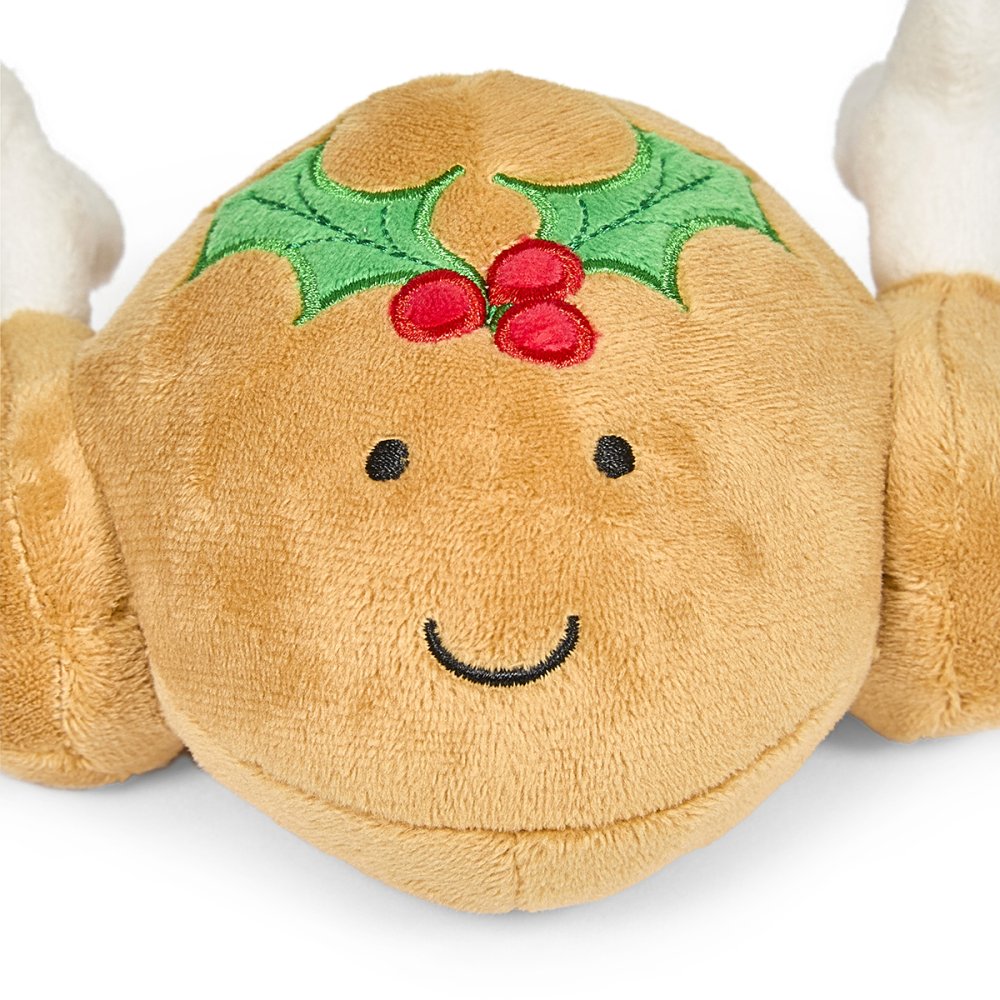 Petface Tasha Turkey Plush Dog Toy