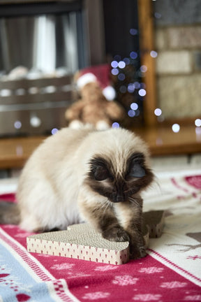 Petface Tree Cardboard Cat Scratcher