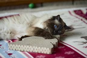 Petface Tree Cardboard Cat Scratcher