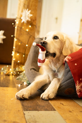 Petface Candy The Cane Plush Dog Toy