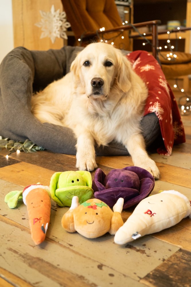 Petface Tasha Turkey Plush Dog Toy