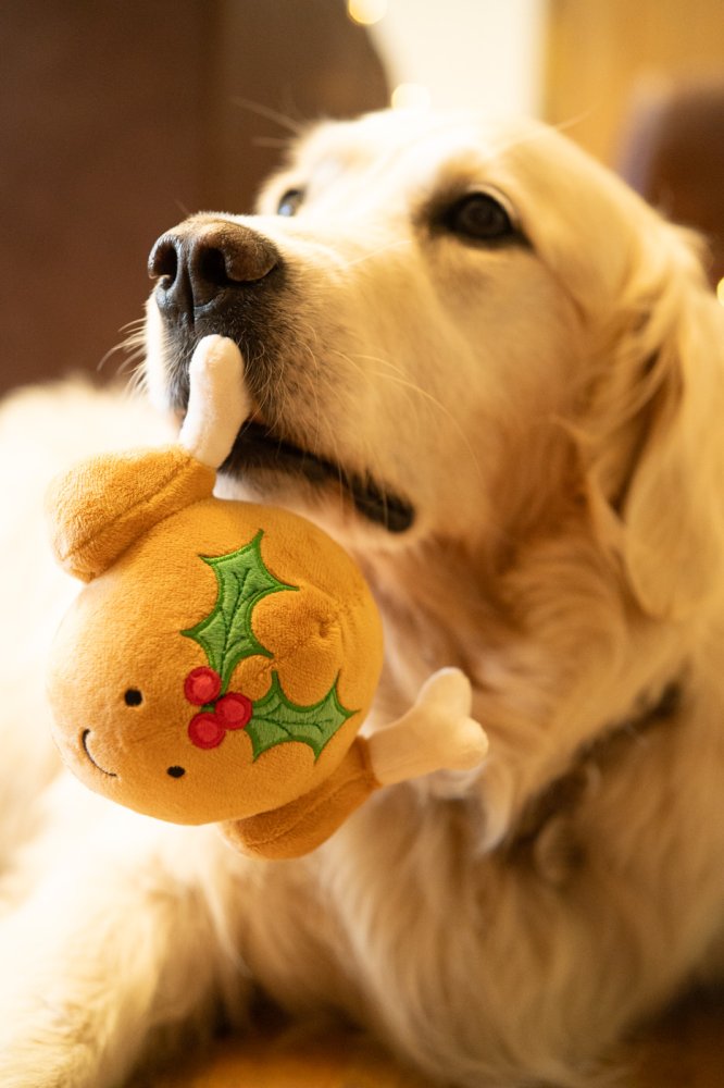 Petface Tasha Turkey Plush Dog Toy