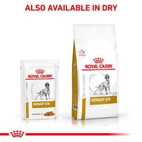 ROYAL CANIN® Canine Urinary S/O Thin Slices in Gravy Adult Wet Dog Food 12s