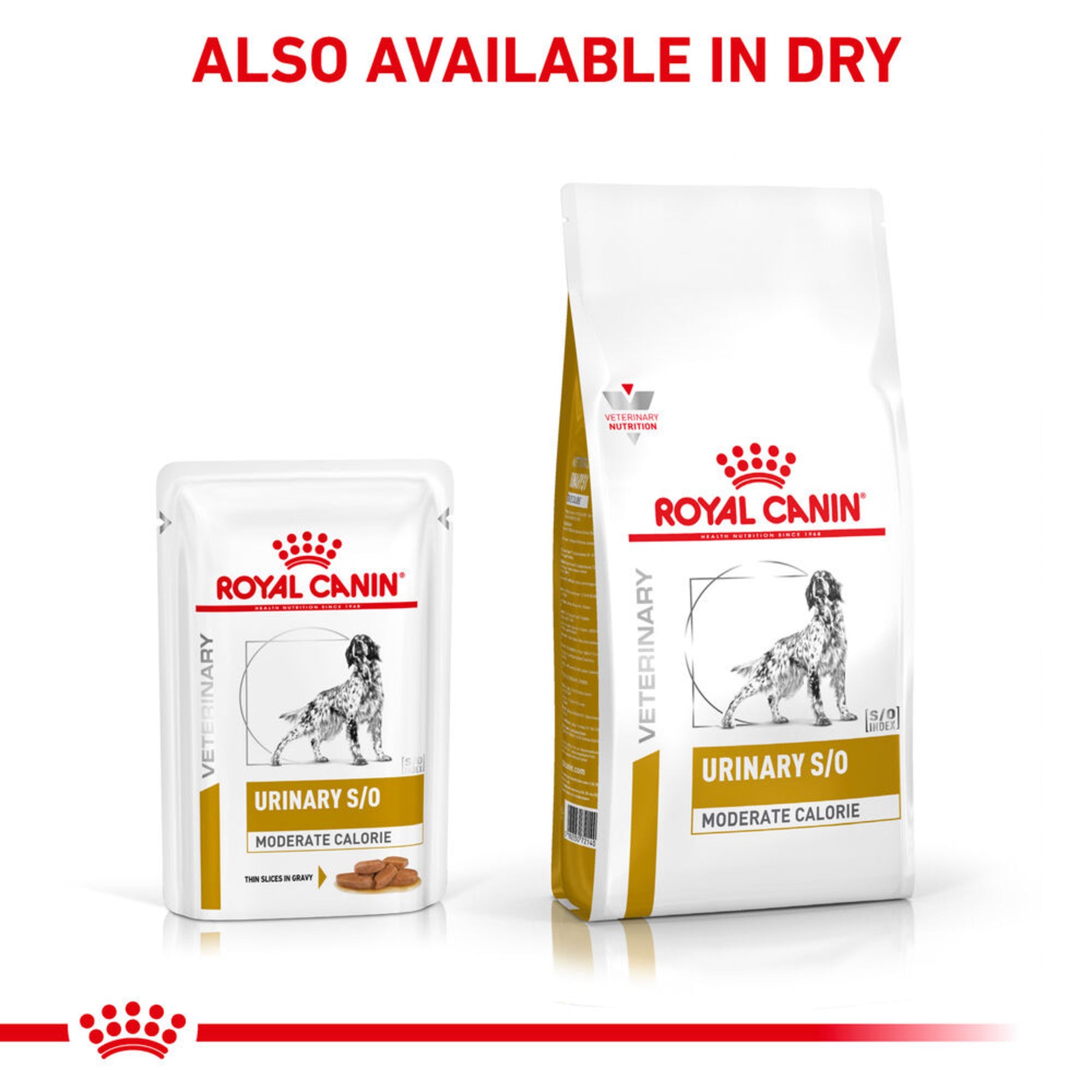 ROYAL CANIN® Canine Urinary S/O Moderate Calorie Thin Slices in Gravy Adult Wet Dog Food