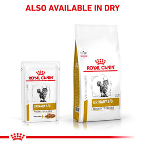 ROYAL CANIN® Feline Urinary S/O Moderate Calorie Morsels in Gravy Adult Wet Cat Food