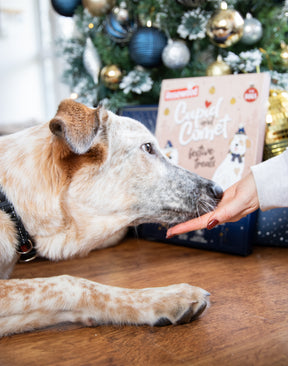 Rosewood Luxury Deli Advent Calendar For Dogs 100g