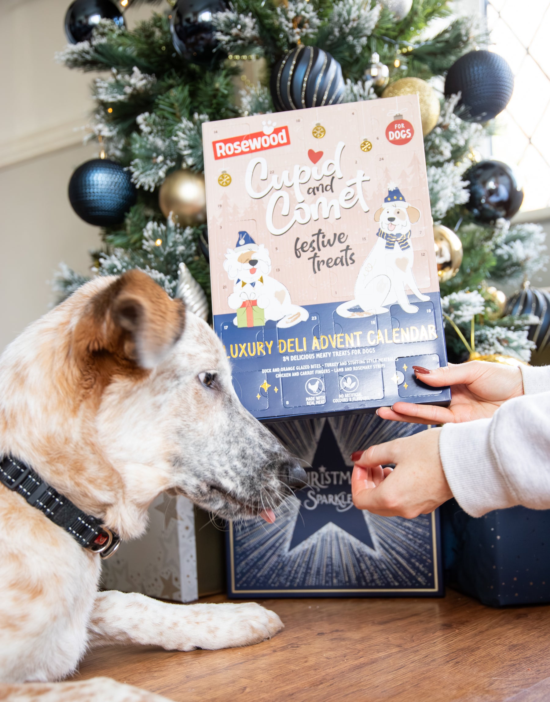 Rosewood Luxury Deli Advent Calendar For Dogs 100g