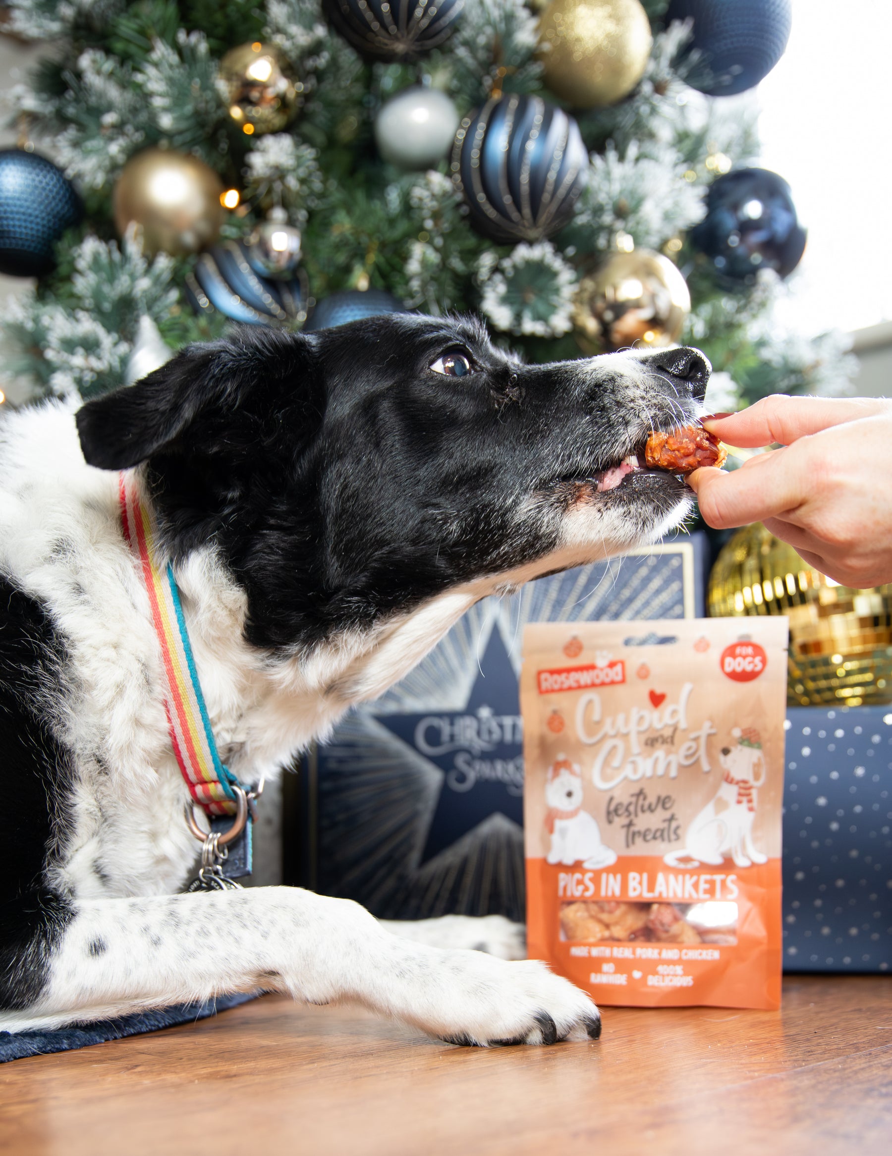 Rosewood Pig In Blankets Dog Treats 100g