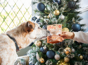 Rosewood Turkey Wrapped Carrot Sticks Dog Treats 100g